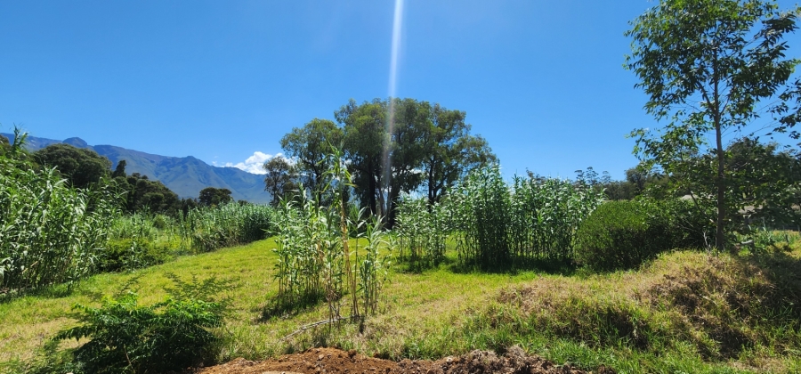 0 Bedroom Property for Sale in Swellendam Western Cape